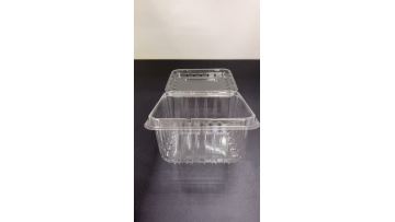 Disposable Plastic Fruit Clamshell Packaging