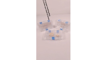 Plastic Clear  Elastic Dental Veneer Membrane Box for 12pcs Veneer Packing1