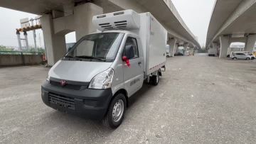 Wuling Zhiyue Rongguang Mini Truck Refrigerated Tr
