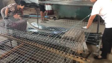 Australia Roll Top  Wire Mesh Fence Safety Fence China Manufacturer1