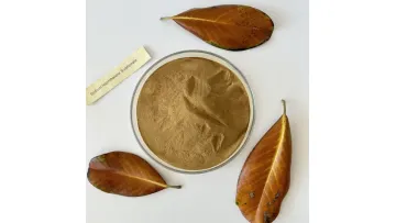 Naphthalene-Based Superplasticizer for Concrete Water Reduction