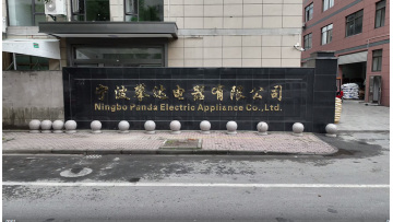 Domestic and International Sales