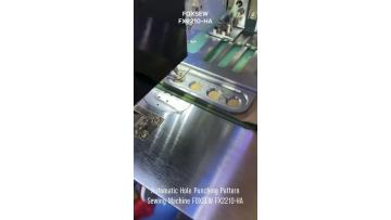 Automatic Hole Punching Pattern Sewing Machine FX2210-HA