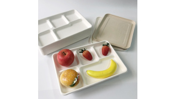 bagasse pulp 4 and 5 comaprtments tray with PET bagasse lid