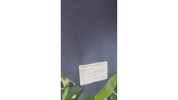 Polyester Rayon Textile