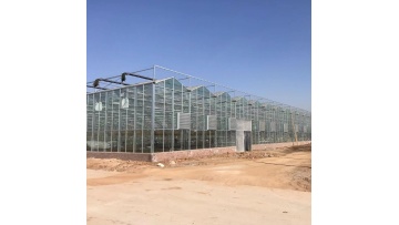 Venlo PC Greenhouse