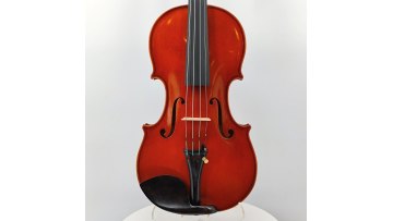 violin-HLA-6