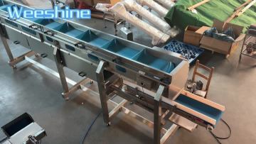 nuts dconveyor