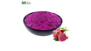 Natural Instant Drink Powder Dragon Fruit1