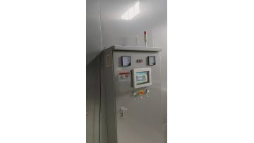 Double spiral freezer for IQF lobster tails