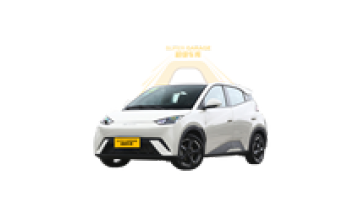 Hot Sale Seagull Auto Small Electric Energy Powered New Energy Vehicle Free Version Byd's New Car1