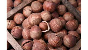 Delicious Roasted Hazelnuts Products