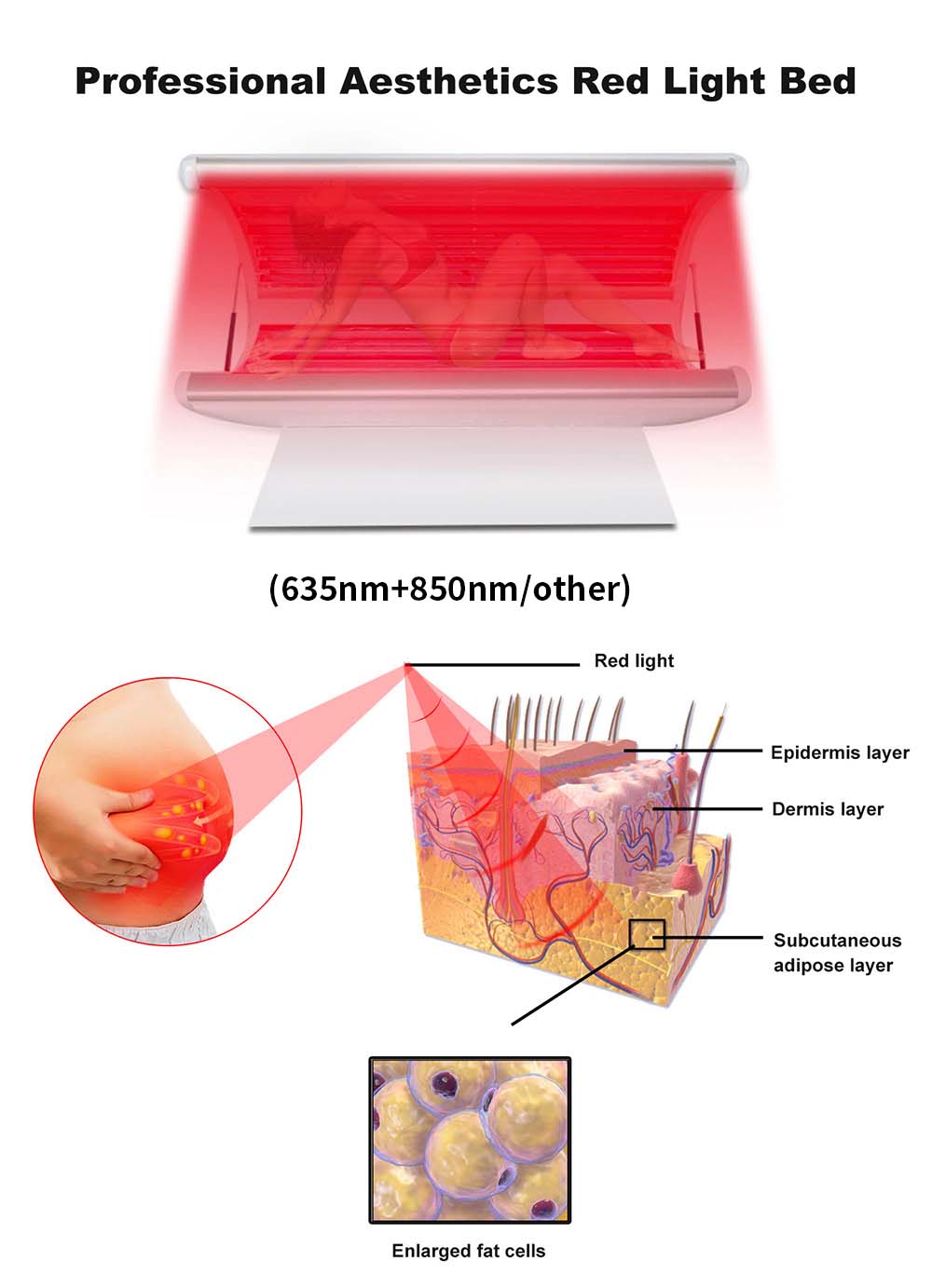 Red Light Therapy For Weight Loss