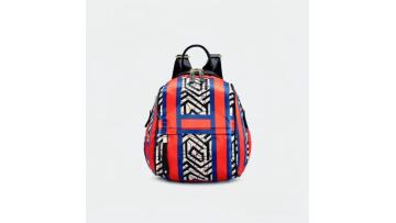 Multi-functional Mini Backpack