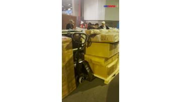 BESAFE SMART 33