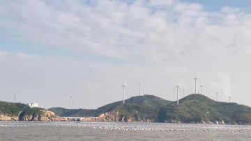 Shengsi Xiangyuan Aquatic Products Co.,Ltd.,