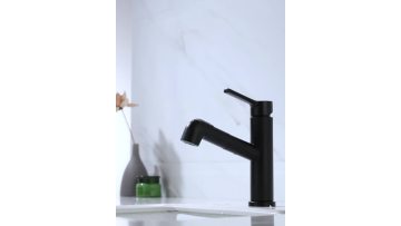 Matte Black Pull Out Basin Faucets