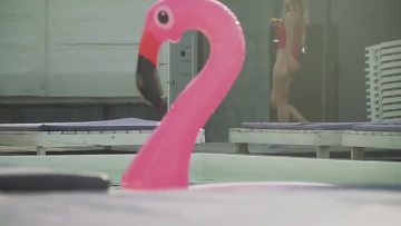 Hot selling Toucan Wholesale Safety swim ring inflatable tube for adult swim ring pool float