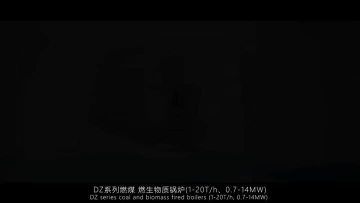 DZL1.mp4