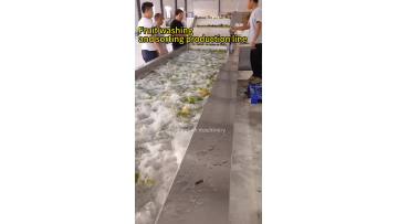 Fruit washing and sorting production line