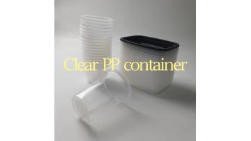 Transparent PP food container