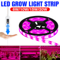 Hand Sweep Sensor 5V Grow Light Strip LED Phyto Lamp Greenhouse Cultivo Plants Flower Growing Tent Hydroponics USB 0.5 1 2 3M