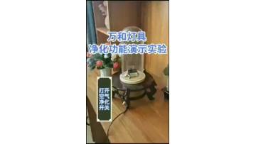To purify the demo.mp4