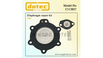C113827 diaphragm
