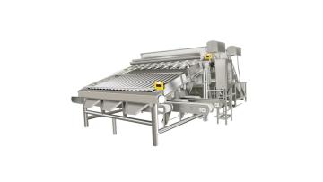 shrimp sorter