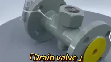 Disc Type Steam Flange Trap