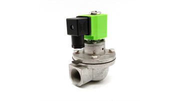 DMF-Z-20 Pulse Valve 110VAC