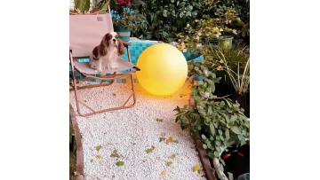 Outdoor Lawn Moon Light