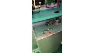 Machine Operation Demonstration 04