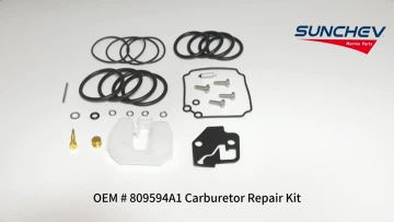 809594A1 Carburetor Repair Kit