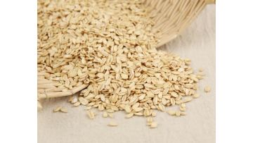 grain oatmeal