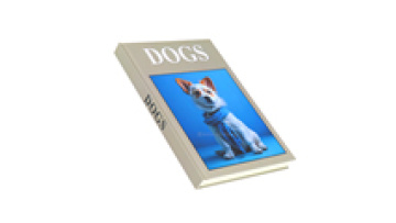 Custom and Print Stylish Fake Hardcover Book Printing Faux Books for Decoration1