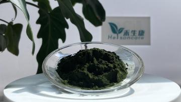 chlorella powdor