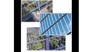 Professional Custom Easily Assembly Double Wire Mesh Fence/Double Bar Fence1