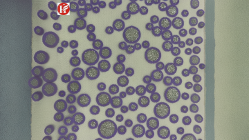 Hot Sale 100% Polyester Knitted Jersey Fabric GRS Dry Fit Printed for T-Shirts Garments With Jacquard Mesh Patterns for Lining1