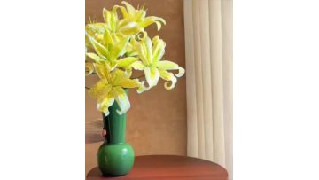 Tiger Muen Oriental Lily