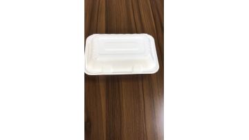 disposable paper food box