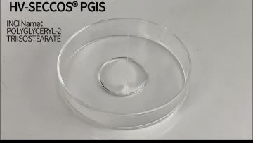 HV-SECCOS ®PGIS
