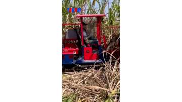 4GP-1 1-Row Sugarcane Cutter