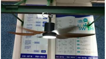 fan light with blades