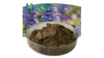 USA Warehouse Stocks Ajuga Turkestanica Extract with 10% Turkesterone: Your Source for High-Quality Supplements1