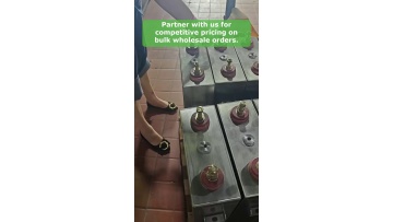 Video 12