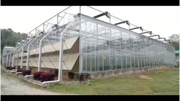 Tomato hydroponic growing systems glasshouse multi span tempered glass green house for vegetables1