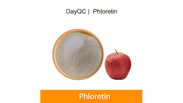 Phloretin powder