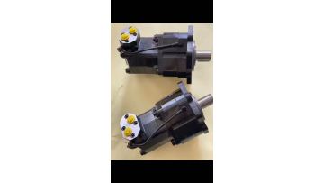 Wheel walking motor with brake