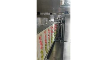 XF series Detergent Pod Making Machine2